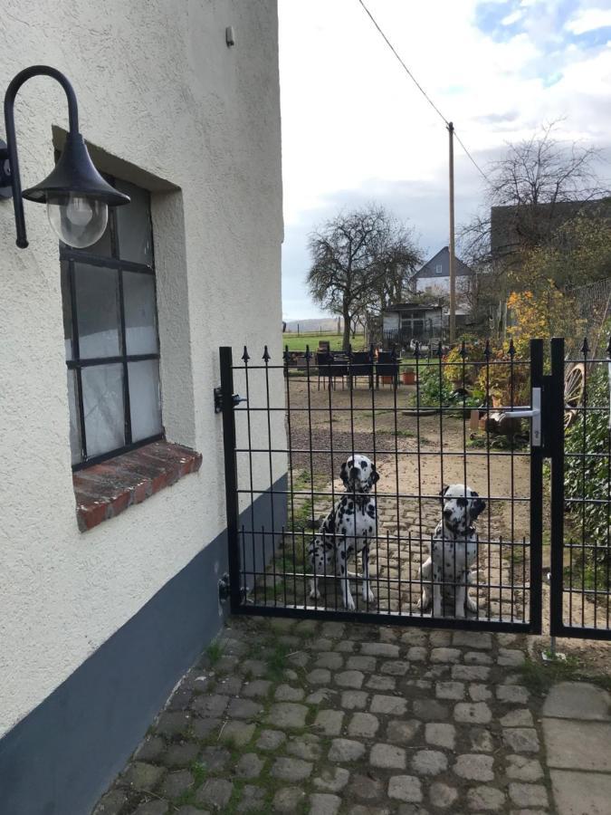 Landhof Lieg - Tierische Auszeit In Unseren Gemuetlichen Ferienwohnungen Exterior foto