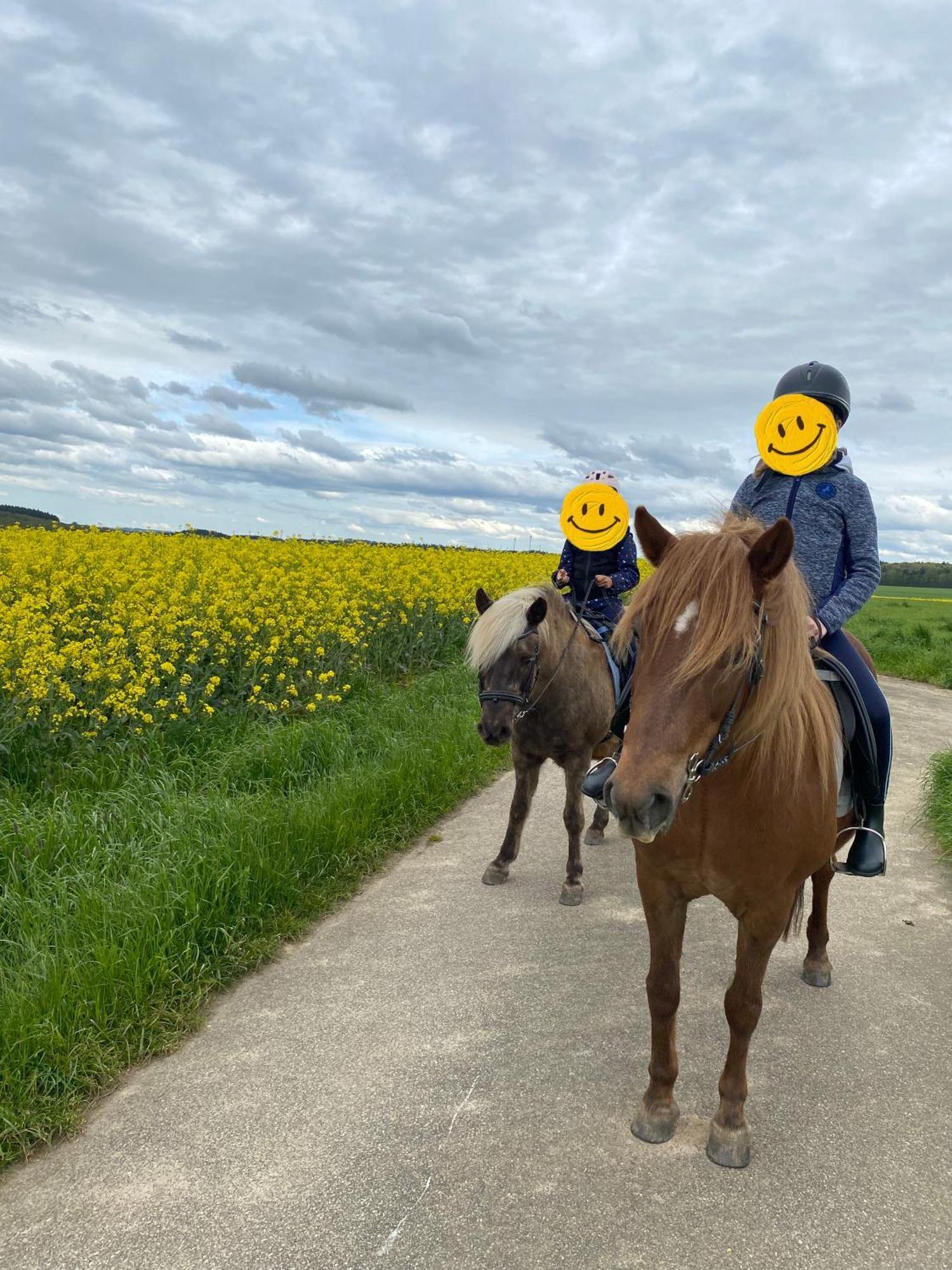 Landhof Lieg - Tierische Auszeit In Unseren Gemuetlichen Ferienwohnungen Exterior foto