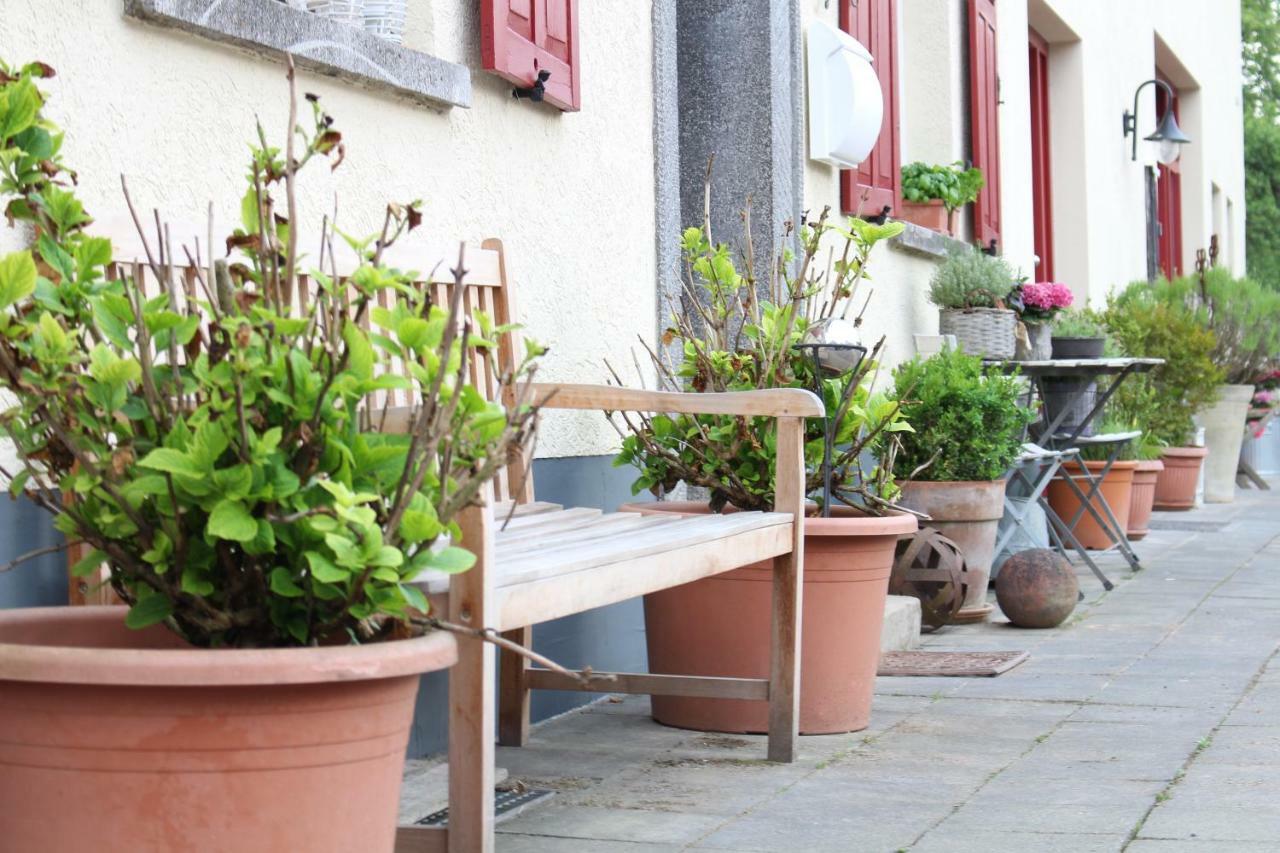 Landhof Lieg - Tierische Auszeit In Unseren Gemuetlichen Ferienwohnungen Exterior foto