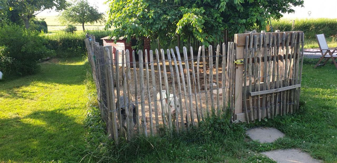Landhof Lieg - Tierische Auszeit In Unseren Gemuetlichen Ferienwohnungen Exterior foto